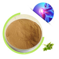 Click Free Sample Chinese Supplier Factory Price Pure Cosmetic Grade Nettle Extract for Sale